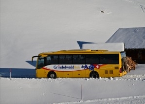 Winterlicher Schlitten-Event in Grindelwald