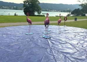 Flamingo Ringo – das Tierspiel für Teams