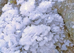 Bergwanderung mit Wildtierbeobachtung