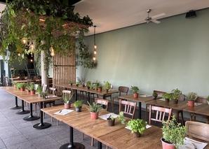 Get to know urban gardening