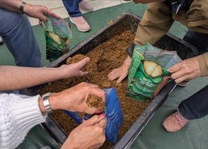 Workshop «Pilzzucht» für Teams