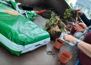 Atelier sur les herbes au lac de Constance