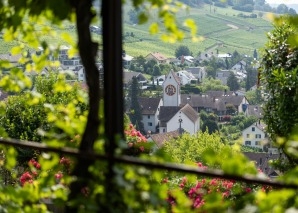 Barbecue workshop with wine tasting