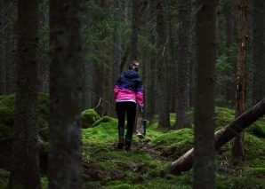 Challenge en équipe de survie « Plantes sauvages comestibles »