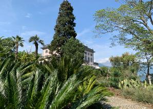 Botanisches Quiz auf den Brissago-Inseln