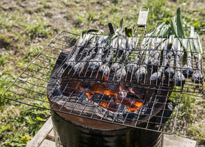 Calçotada-Feuerkochen in der Romandie