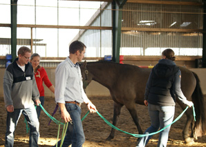 Formation et coaching grâce à la relation avec les chevaux