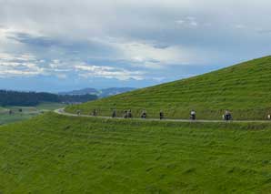 E-bike tour with rösti and bratwurst