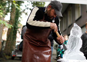 Ciseaux à glace