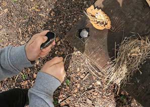 Faire du feu - une aventure dans la nature