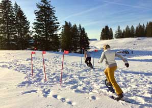 Finnische Wintergames