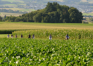 motorbike tour Solothurn