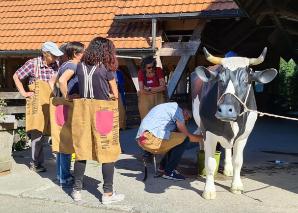 Farmer Games im Bernbiet