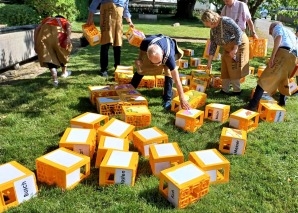 Farmer Games im Bernbiet