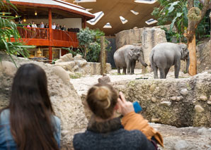 Smartphone photo workshop at Zurich Zoo