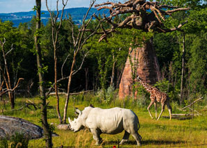 Smartphone photo workshop at Zurich Zoo