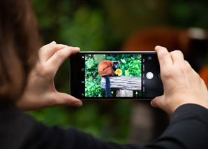 Smartphone Fotoworkshop im Zoo Zürich