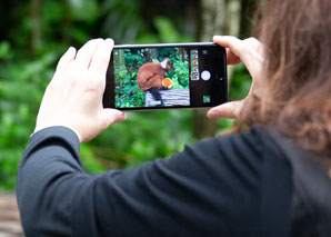 Smartphone photo workshop at Zurich Zoo