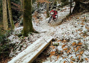 Excursion guidée à vélo en Emmental en VTT sur un seul sentier