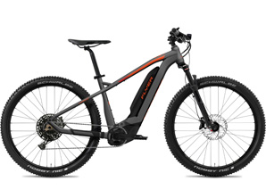 Guided single trail e-bike tour Emmental