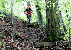 Guided single trail e-bike tour Emmental