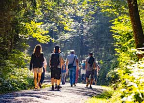 Guided hike with barbecue