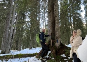Forest expedition in the Muotathal