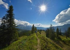 Forest expedition in the Muotathal