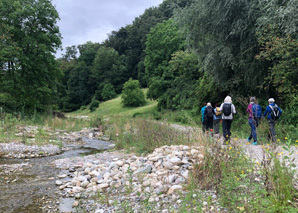 Guided hike to the silkworms