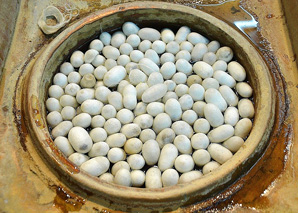 Guided hike to the silkworms