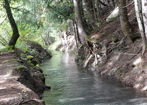 Guided suonen hike in the Valais