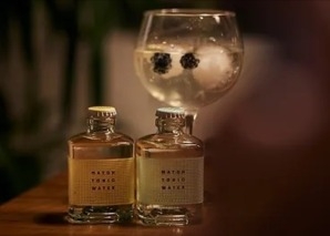 Mobiles Gin Tasting