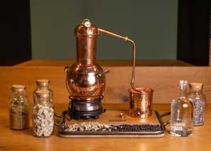 Gin Workshop – Distilling Gin