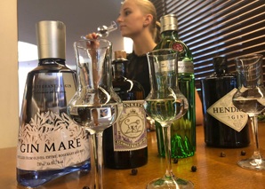 Gin tasting in zurich degustation