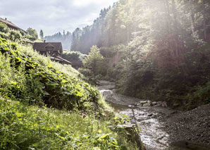 Gold panning - the adventure in nature