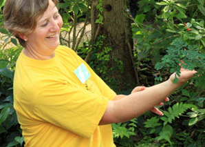 Guided Tour - Papillorama