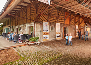 Excursion en trottinette avec trekking à dos de chameau ou atelier de feutrage