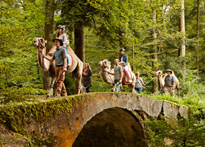 Trottiplausch mit Kameltrekking oder Filzworkshop