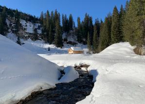 Fun in a mountain hut in Central Switzerland