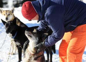 Huskyplausch im Toggenburg