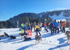 Huskyplausch im Toggenburg