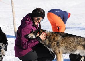 Huskyplausch im Toggenburg