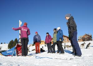 Huskyplausch im Toggenburg