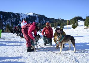 Huskyplausch im Toggenburg