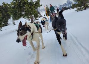 Huskyplausch im Toggenburg