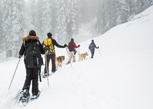 Husky trekking with fondue