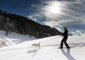 Husky trekking with fondue