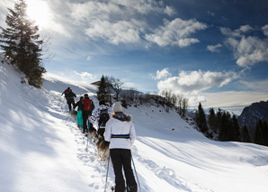 Husky trekking with fondue