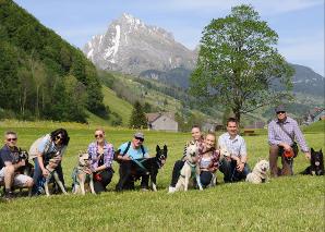 Huskytrekking in der Ostschweiz