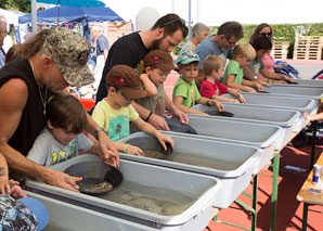 Indoor gold panning